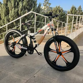 TIGIR KALYASGA MATOR HADINOK