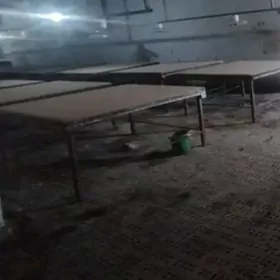 öyme Gul cekilyan stol