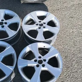 17 lik karolla disga