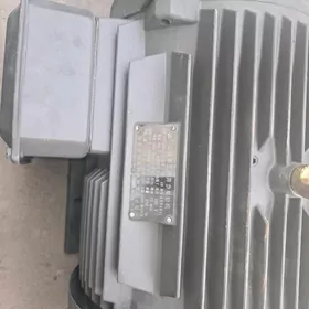 электродигатель