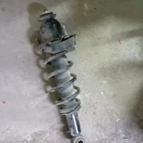 AMYRSATYR COROLLA 2008 2013