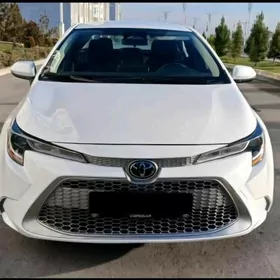 Toyota Corolla 2025