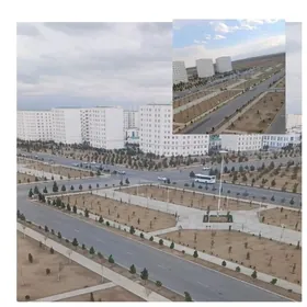 МИР 7/5 (8)ПОЛУЭЛИТКА