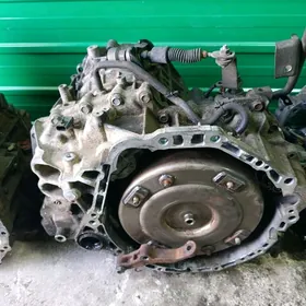 nissan maksima Altima karopga