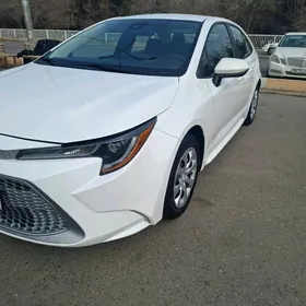 Toyota Corolla 2021