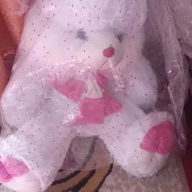 ullakan Towson myska