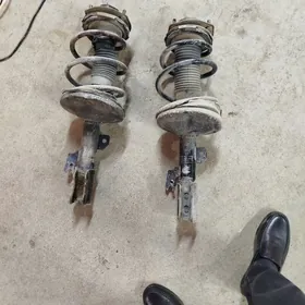 amantizator, puržyn, apora