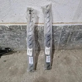 camry Amassator arginal morda