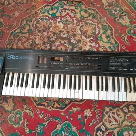Roland D-20