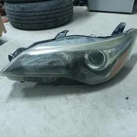 azyada cep tarap cyra morda