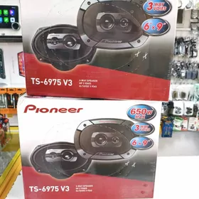 Kalonka pioneer nikel 650w