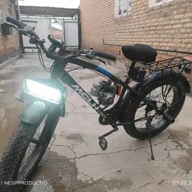 Welsopet ( Tigir) B.M.W