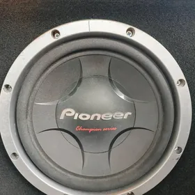 Pioner Boçka-Usilitel