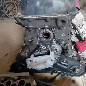 mator 3 lik vivitaŷ