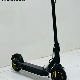 TOKLY SAMAKAT TIGIR MATORLAR