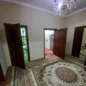 Taze zaman kotez1 tapgyr