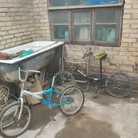 Кама, Украина