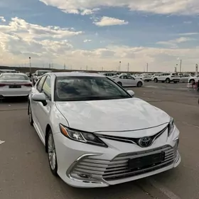 Toyota Camry 2020