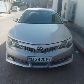 Toyota Camry 2013
