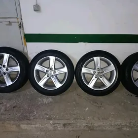 palta diska arginal 17arassa