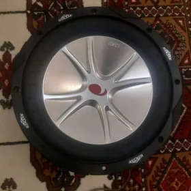 Sabufer kalonka taze ulanmadyk