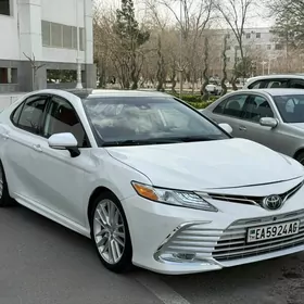 Toyota Camry 2019