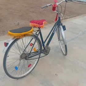 WELSİÝOPET 27 LİK