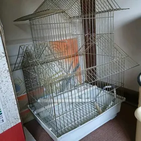 kletka dlya popugaya