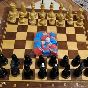 Kust. Sahmat. Шахматы.