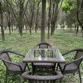 dokolan Stol Stul Стол Стул