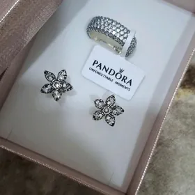 Комплект Пандора