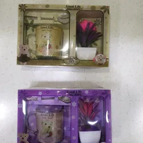 посуда, тарелки, рюмки, баллон