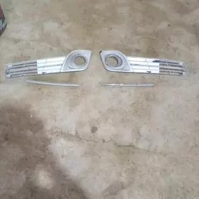 paltan tumankasynyn ácgisi