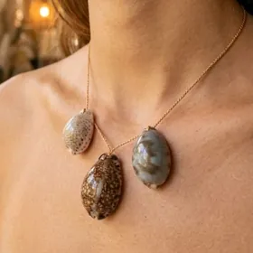 НАТУРАЛЬНЫЕ РАКУШКИ