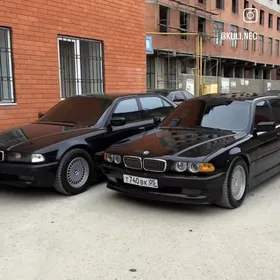 Waditel  shafyor,водитель