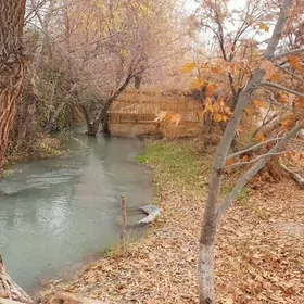 Mellek ýer, dynç alynýan ýeri