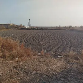 Mellek Satlyk srocny