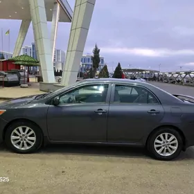 Toyota Corolla 2009