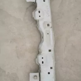 Карола падрадятоник