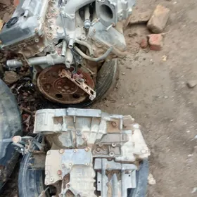 diwigiti karopka 3-lik prastoy