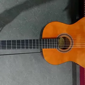 gitara valencia