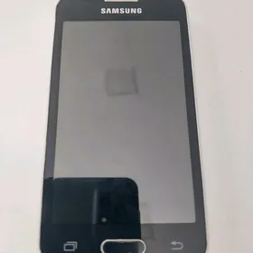 Samsung 313 galaxy
