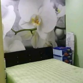 собственный дом