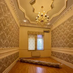 Arenda Gogol pol elitka