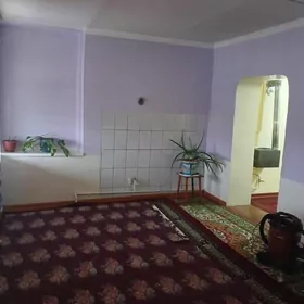 Satlyk jay Newityanik