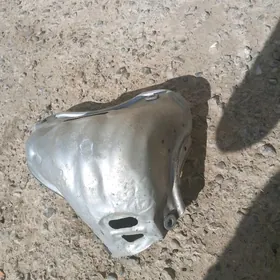 2.5 Palta aziayada Kalektyr