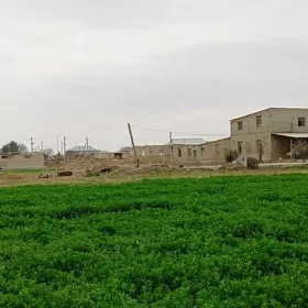 ÖNÜMÇILIK FERMA ÜCIN ÝER.