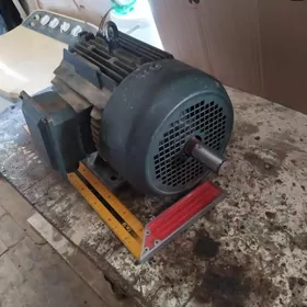 Эл двигатель.