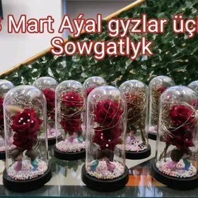 8 Mart Solmajak Gül
