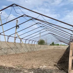 yyladyshana teplissa ekin